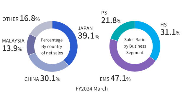 Full-year consolidated net sales