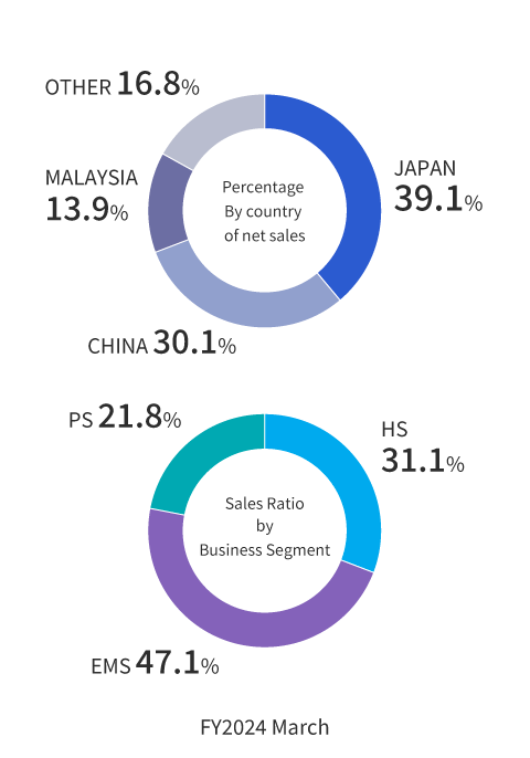 Full-year consolidated net sales